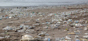 Affald strand