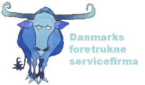 logo-canillas-service